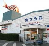 豊浜魚ひろば
