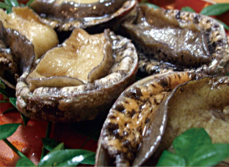 蚫のお造り又は踊り焼き