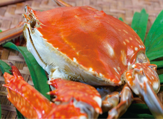 活渡り蟹